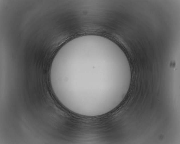 X0000091000076200708021234