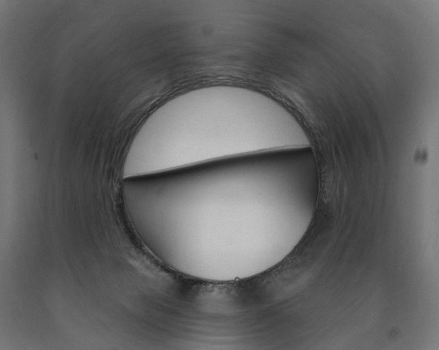 X0000091000077200708021234