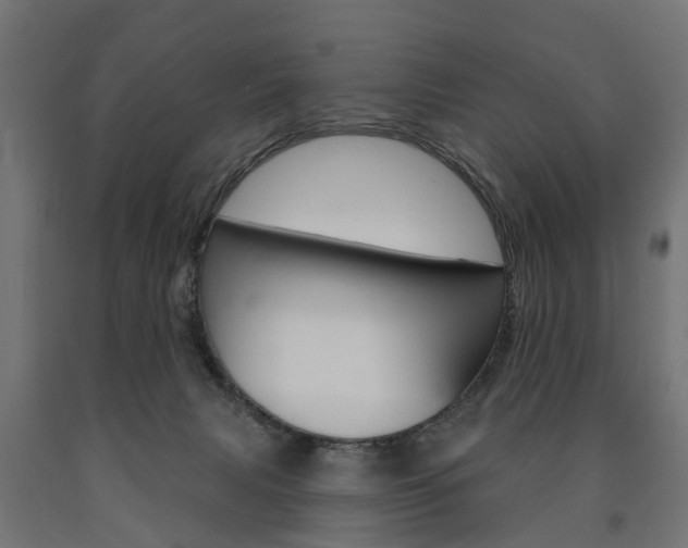 X0000091000079200708021234
