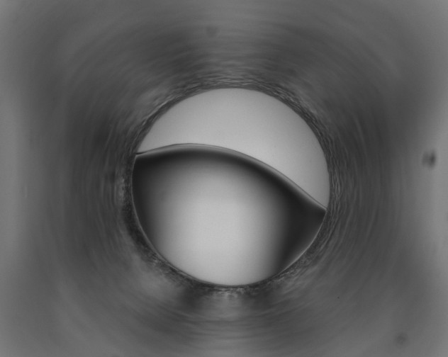 X0000091000080200708021234