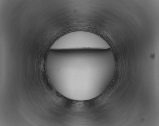 X0000091000083200708021234