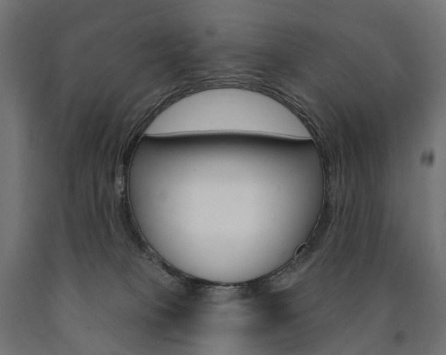 X0000091000085200708021234