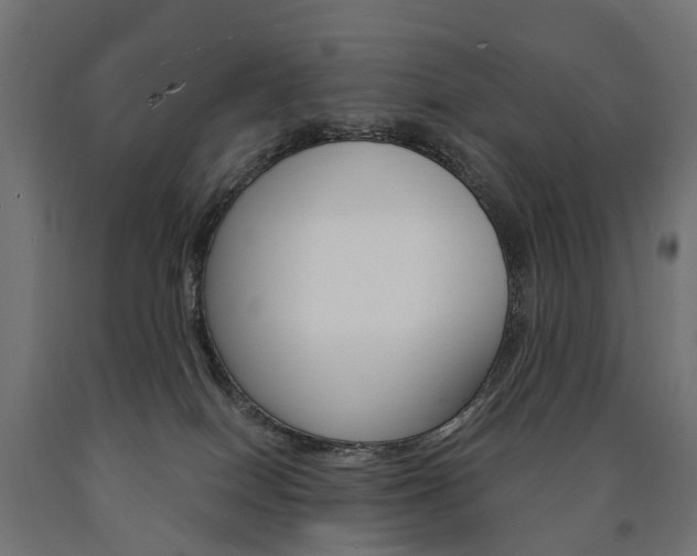 X0000091000086200708021234
