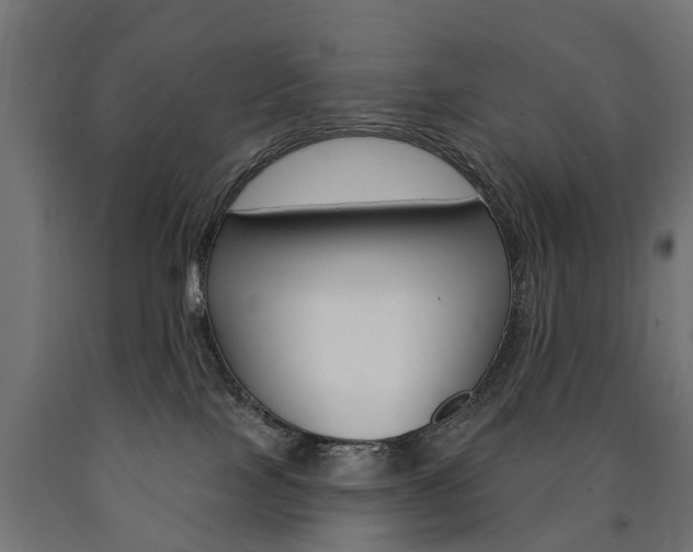 X0000091000089200708021234