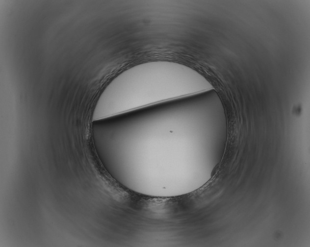 X0000091000090200708021234
