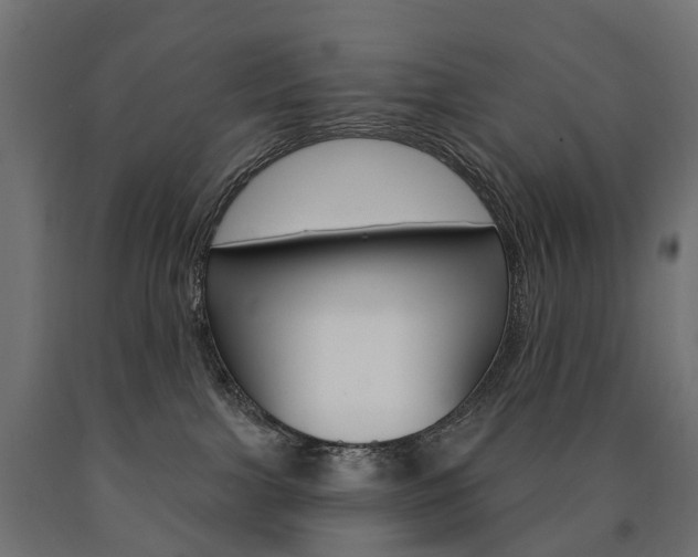 X0000091000091200708021234