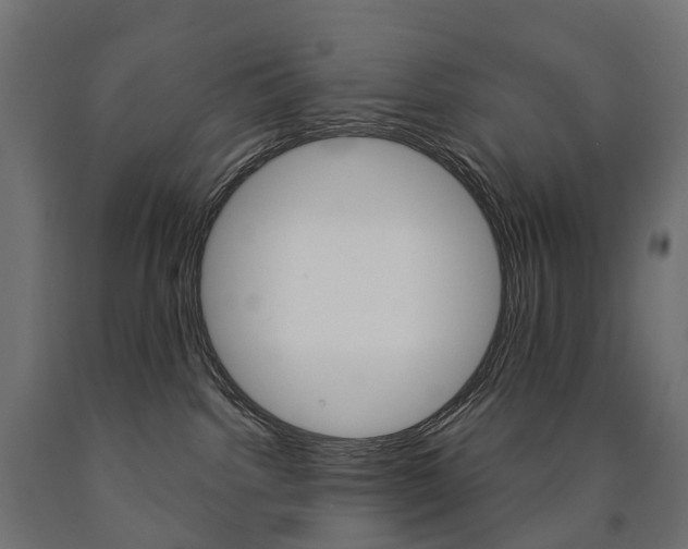 X0000091000092200708021234