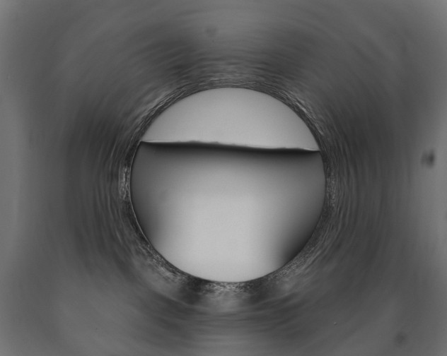 X0000091000093200708021234