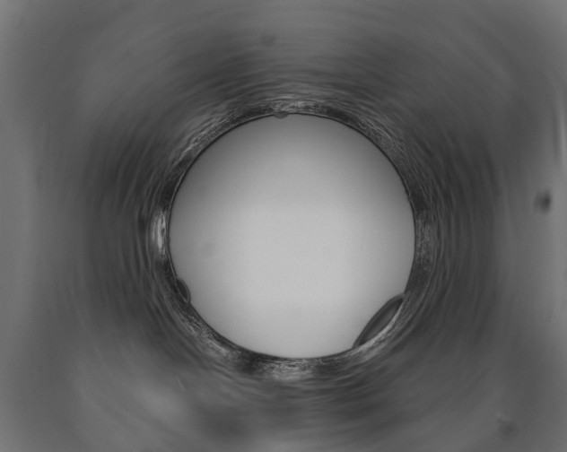 X0000091000094200708021234