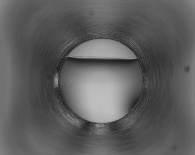 X0000091000095200708021234