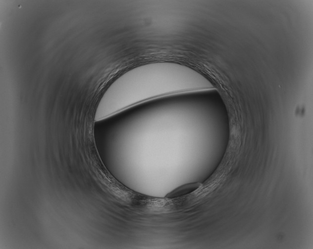 X0000091000096200708021234