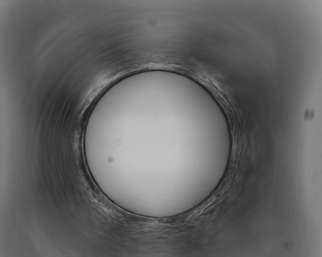 X0000091000098200708021233