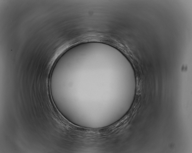 X0000091000099200708021233