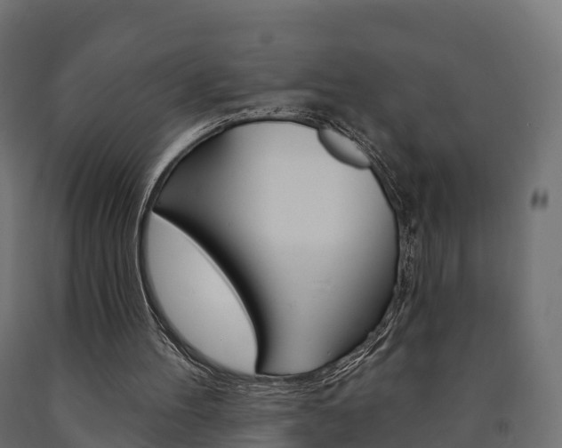 X0000091000100200708021233
