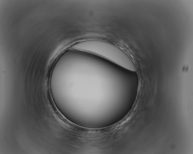 X0000091000101200708021233