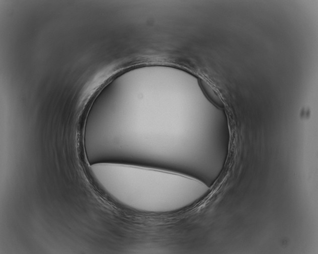 X0000091000103200708021233