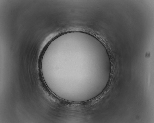 X0000091000104200708021233