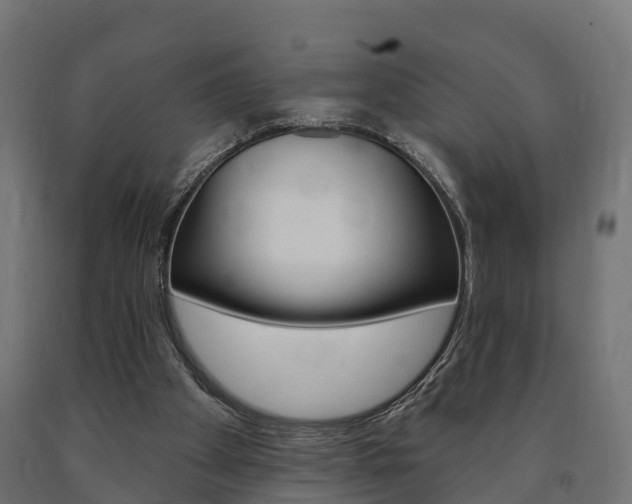 X0000091000105200708021233