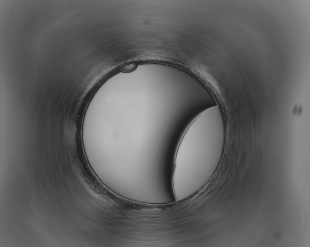 X0000091000108200708021233