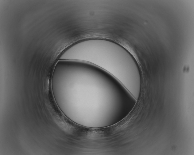 X0000091000109200708021233