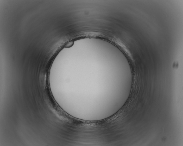 X0000091000110200708021233