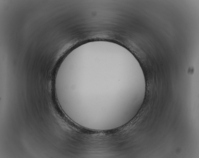 X0000091000112200708021233