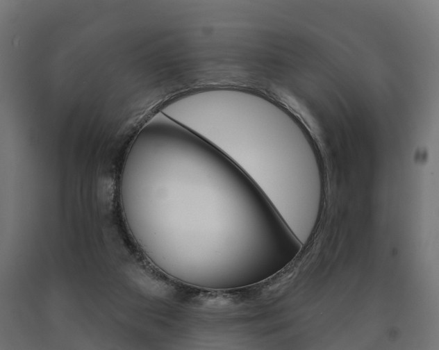 X0000091000113200708021233