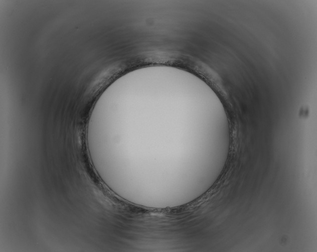 X0000091000114200708021233