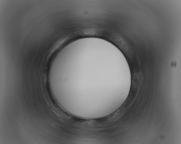 X0000091000116200708021233