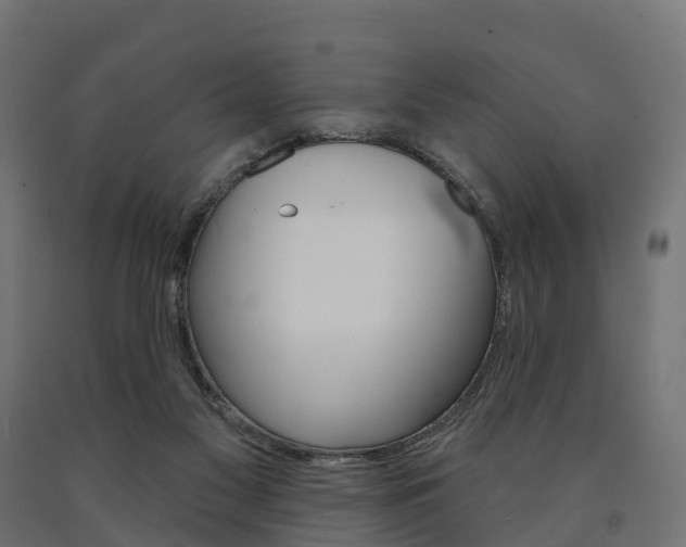 X0000091000117200708021233