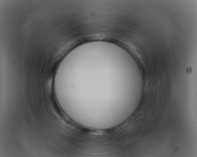X0000091000118200708021233