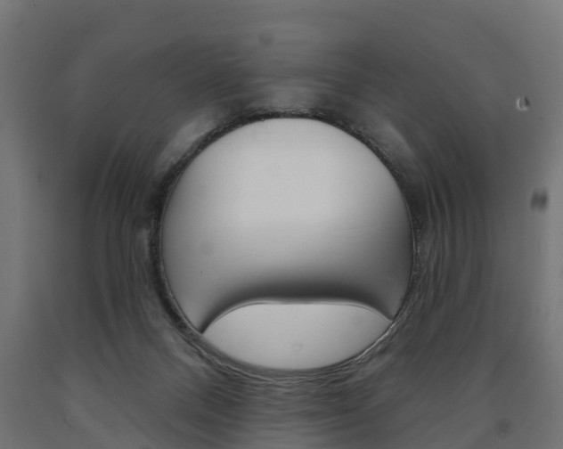 X0000091000120200708021233