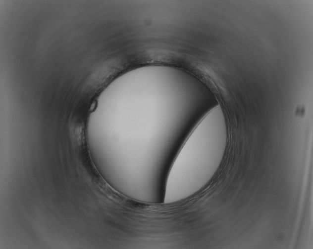 X0000091000123200708021233