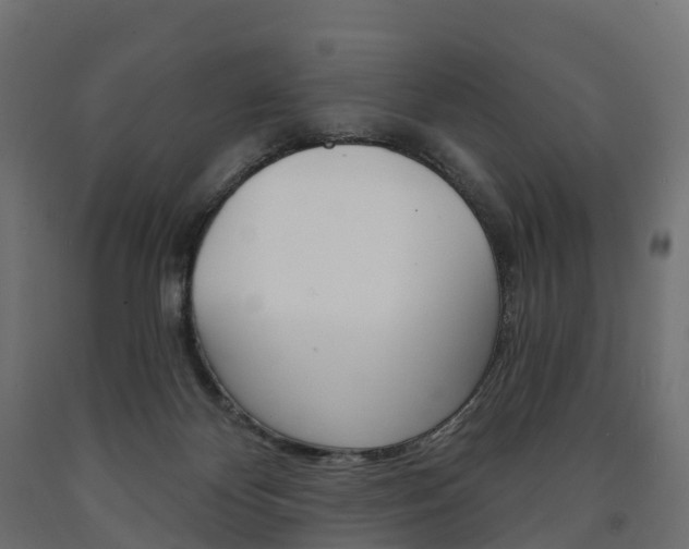 X0000091000124200708021233