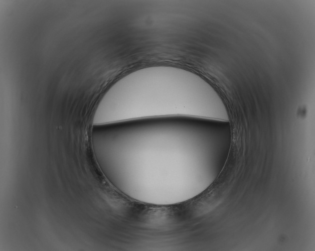 X0000091000127200708021233