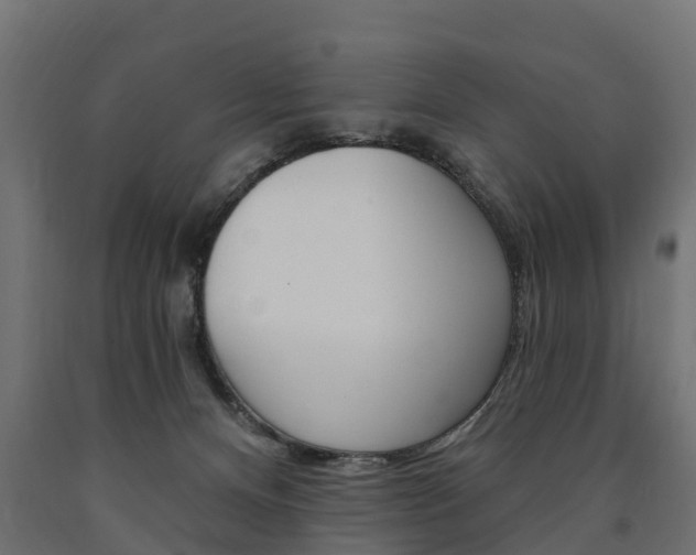 X0000091000128200708021233