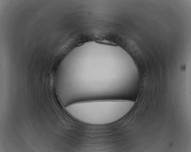 X0000091000129200708021233