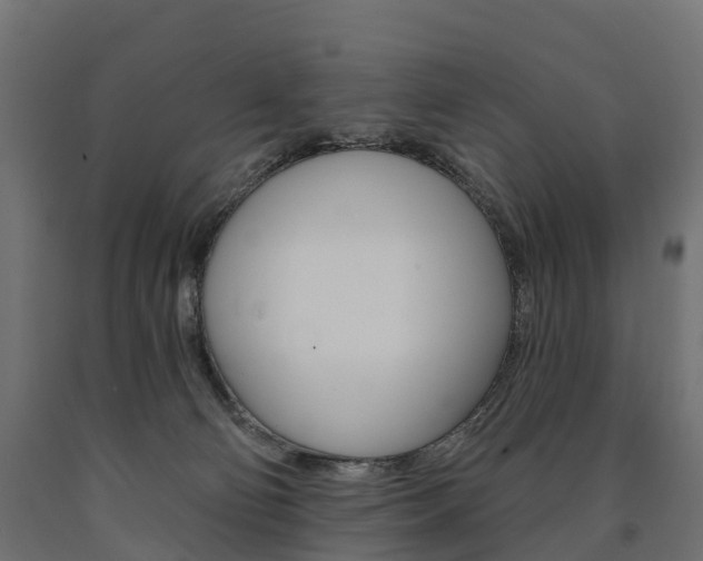 X0000091000130200708021233