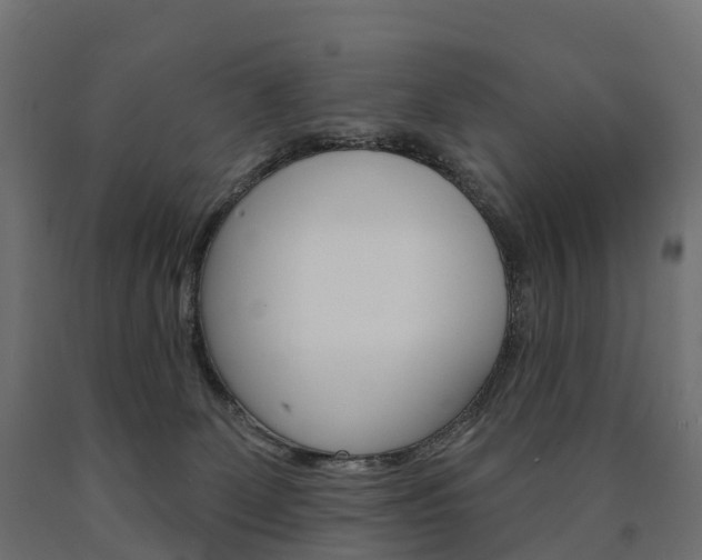X0000091000131200708021233