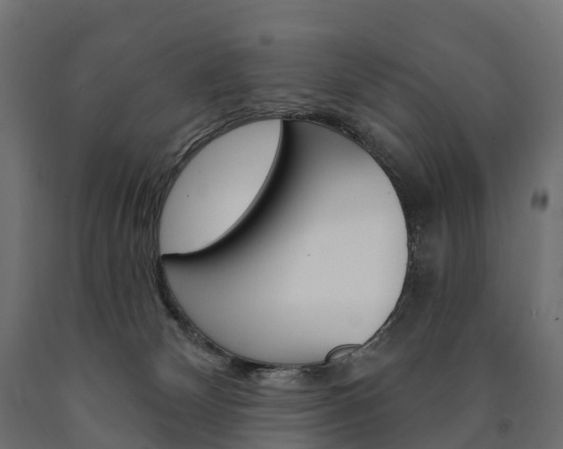 X0000091000132200708021233