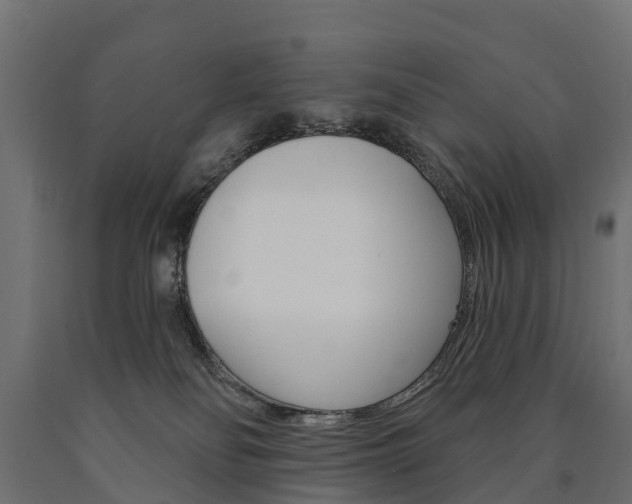 X0000091000134200708021233