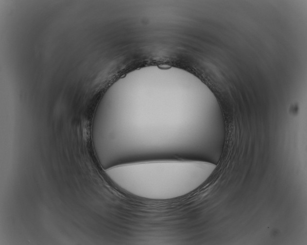 X0000091000135200708021233