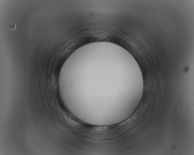 X0000091000136200708021233