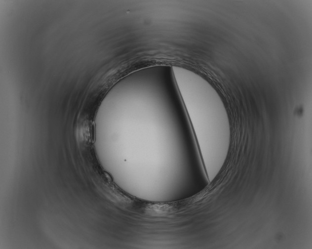 X0000091000137200708021233