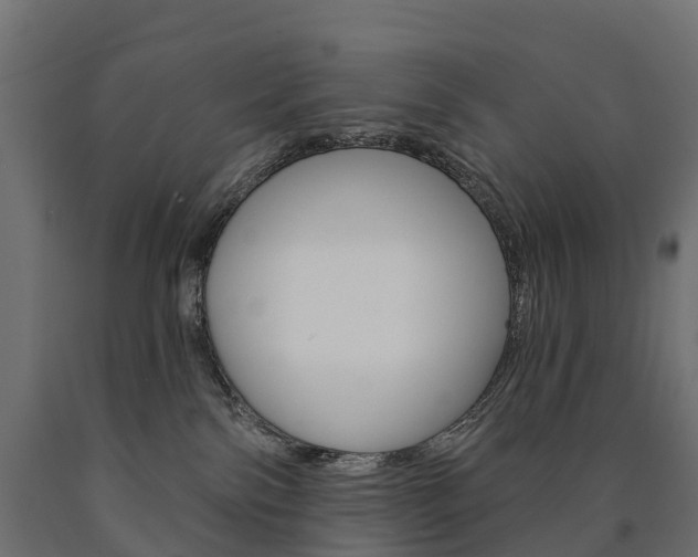 X0000091000138200708021233