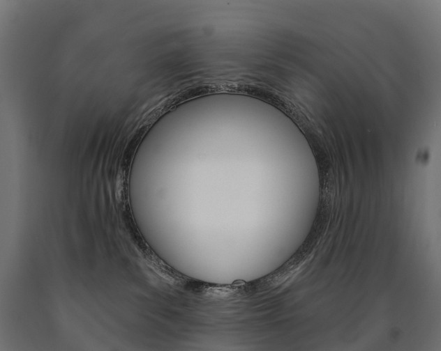 X0000091000139200708021233