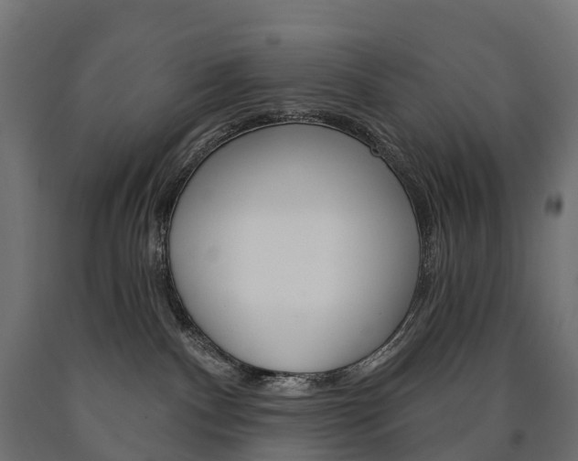 X0000091000140200708021233
