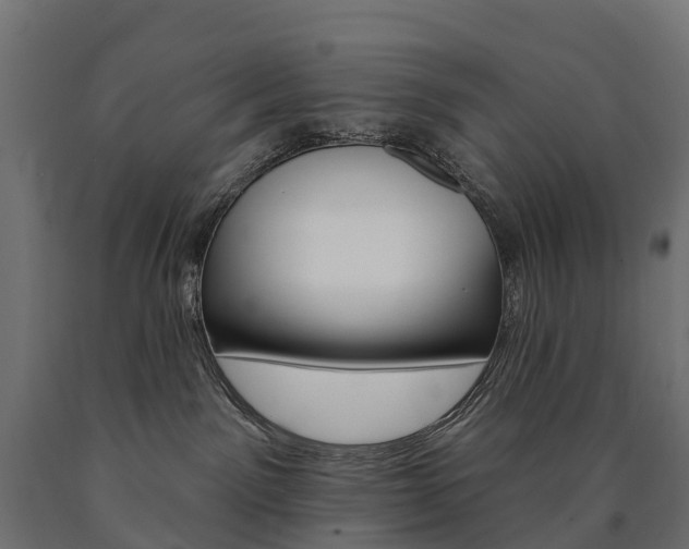 X0000091000141200708021233