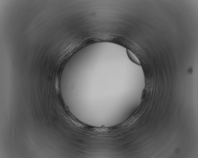 X0000091000143200708021233