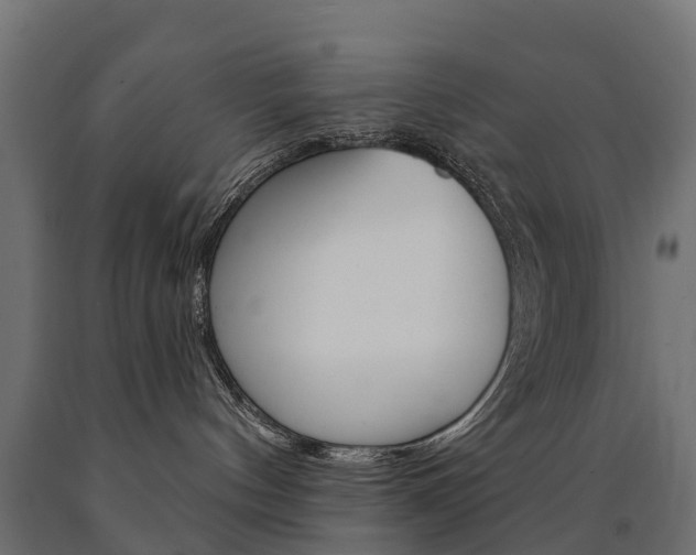X0000091000144200708021233